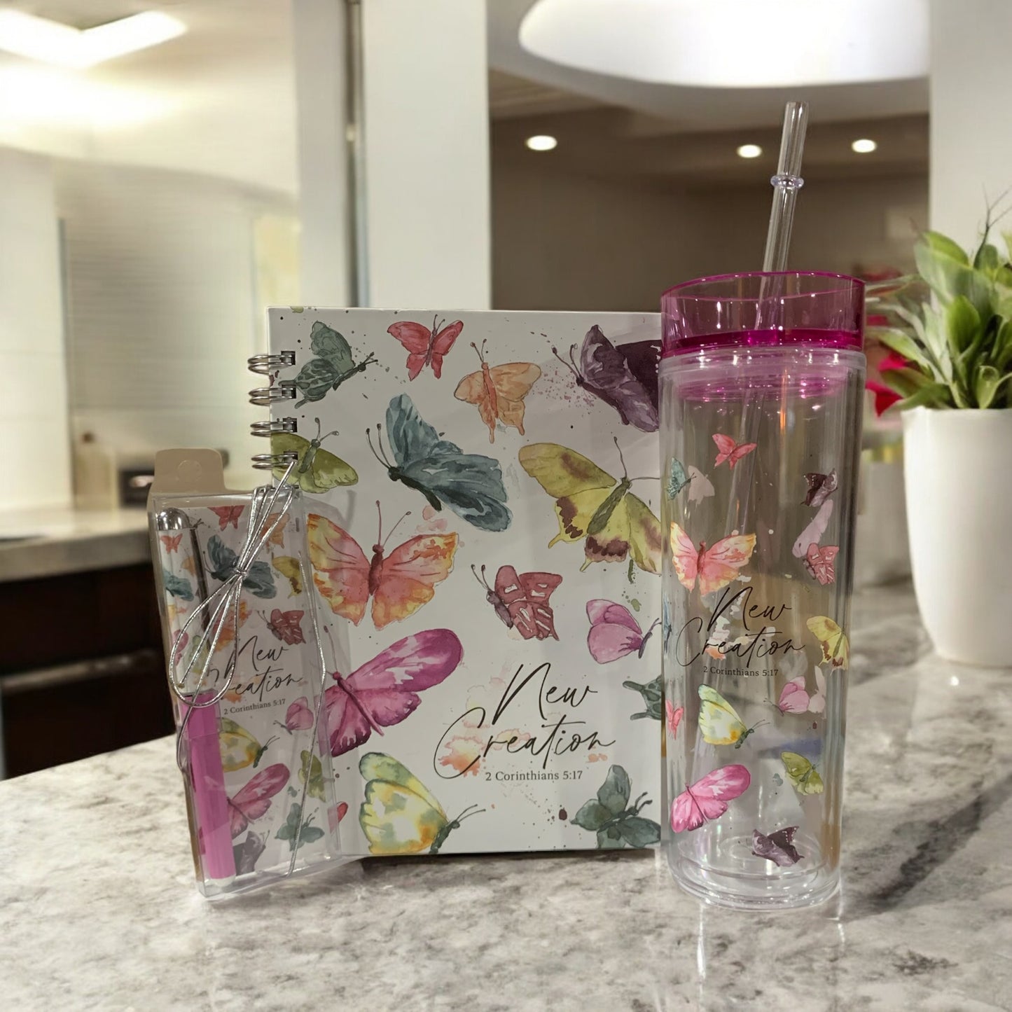 Gift Box - New Creation